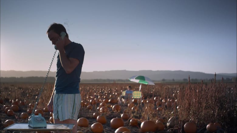 Some Days Are Better Than Others