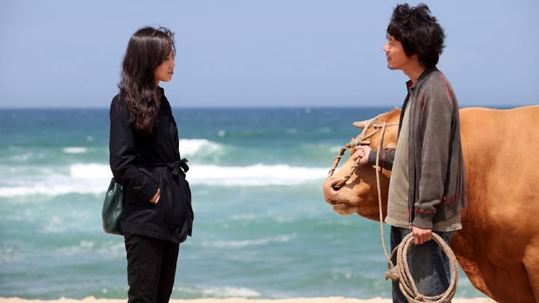 Rolling Home with a Bull