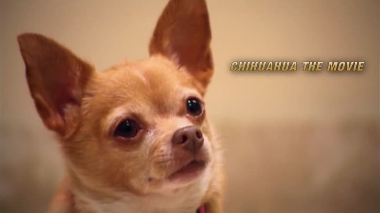 Chihuahua: The Movie